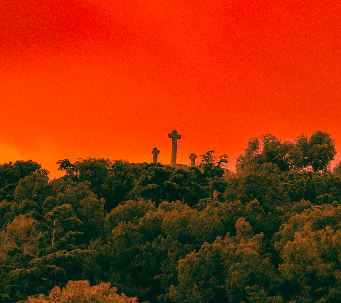 Canvas Print: "Fire in the Sky"