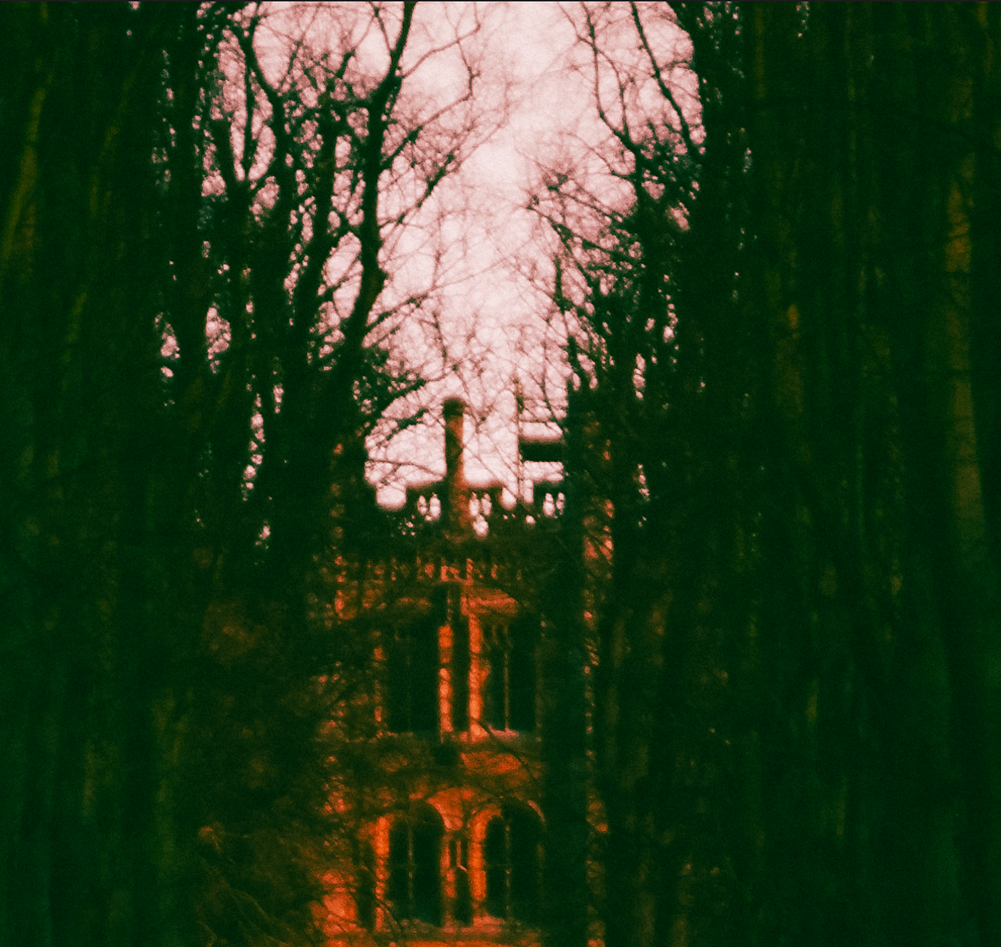 Canvas Print: "Haunted"