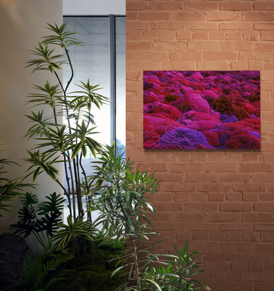 Canvas Print: "Biotic Pulse"