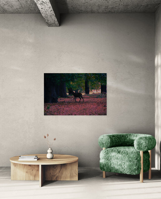 Canvas Print: "Lurk"