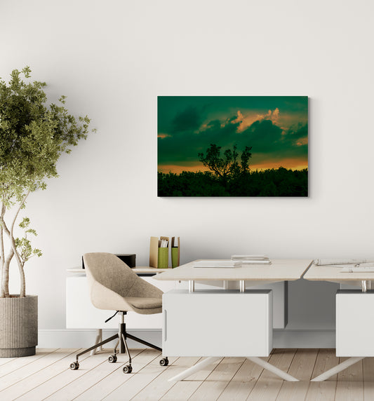 Canvas Print: "Window of Opportunity"