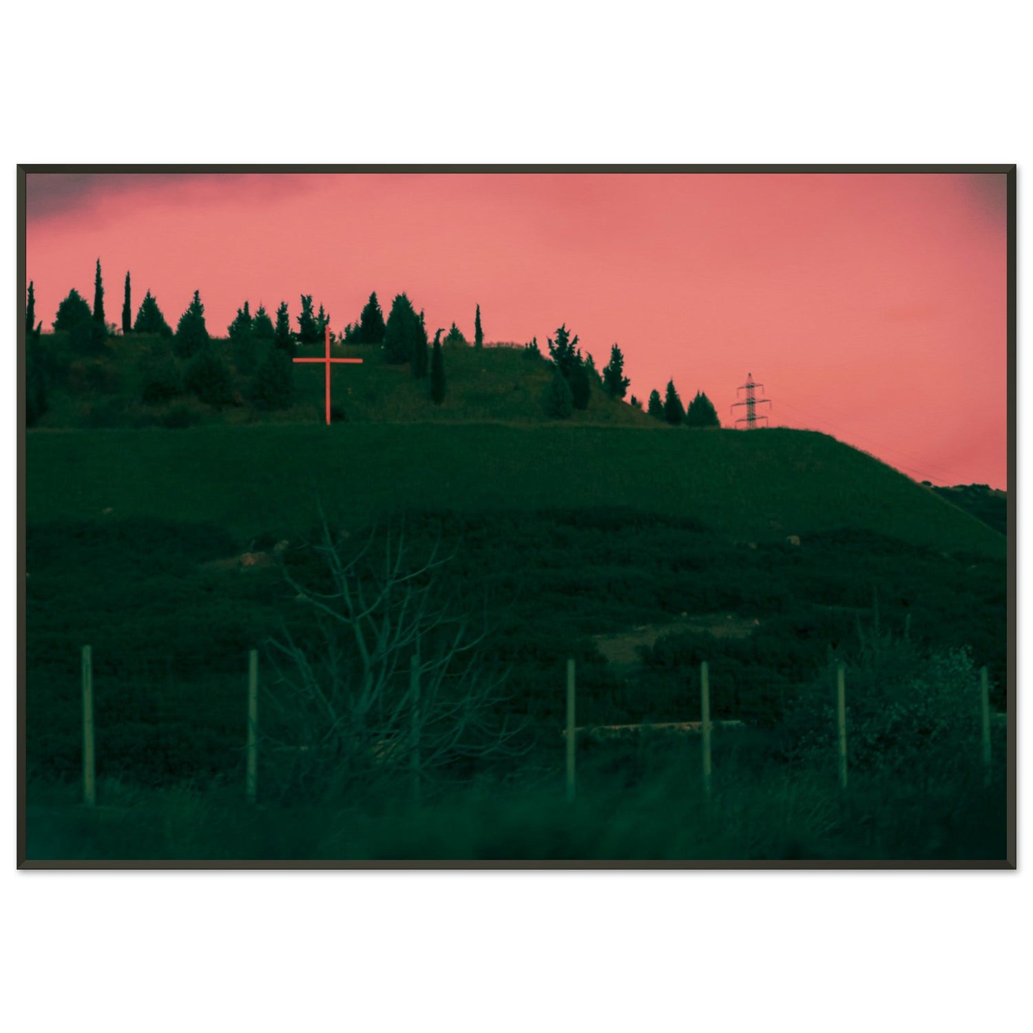 COLLECTION: MORITURE