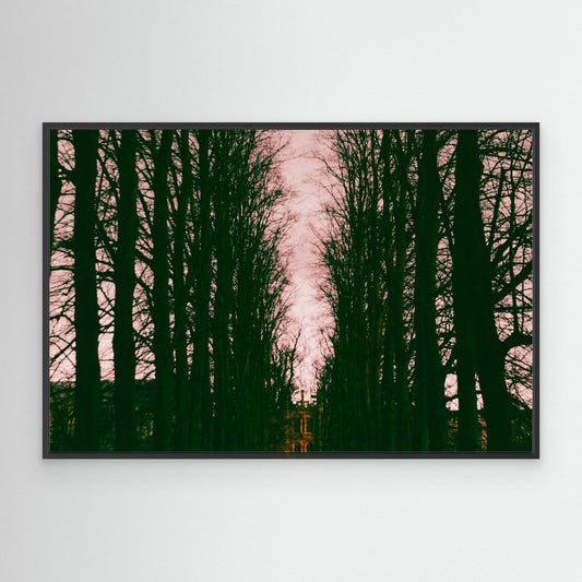 Cnavas Print: "Haunted"