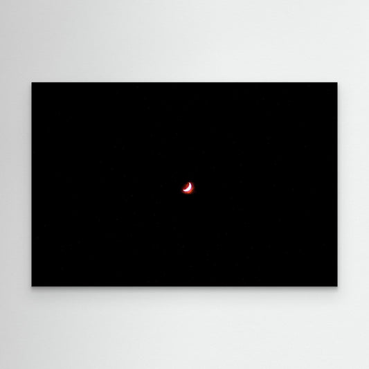 Canvas Print: "Starry Night"