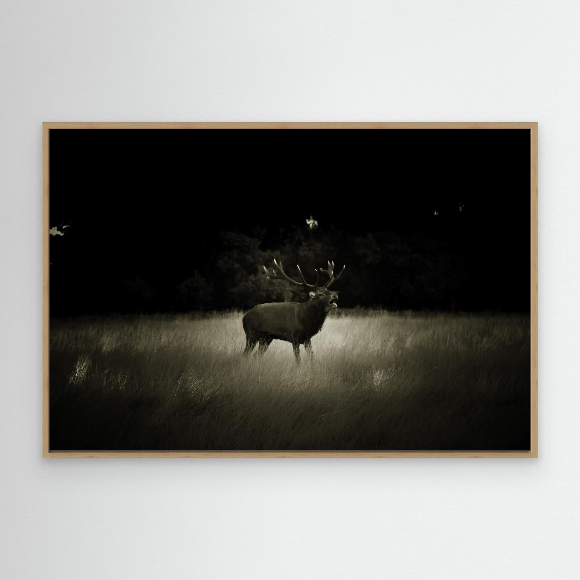 Canvas Print: "Silent Despair"