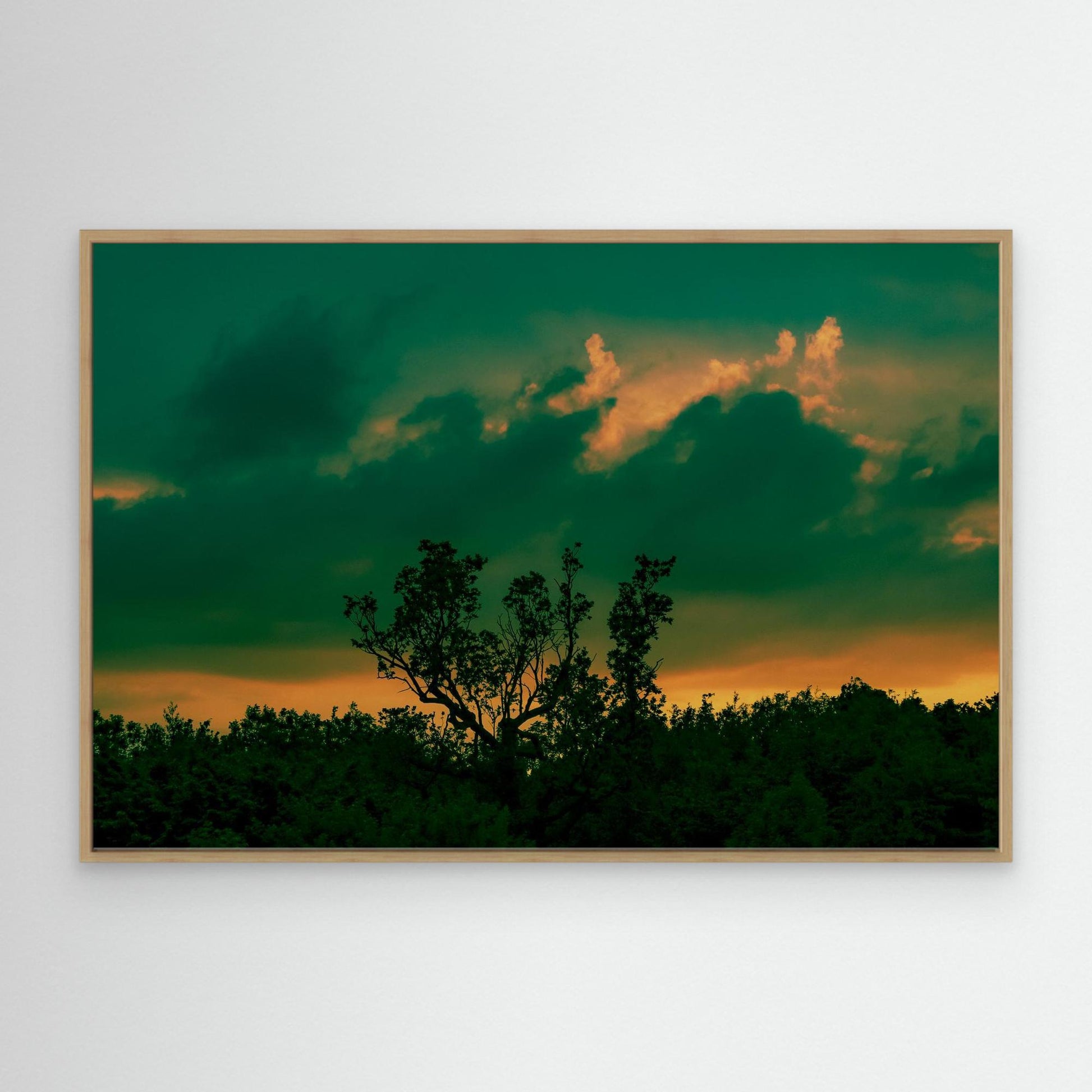 Canvas Print: "Lurk"