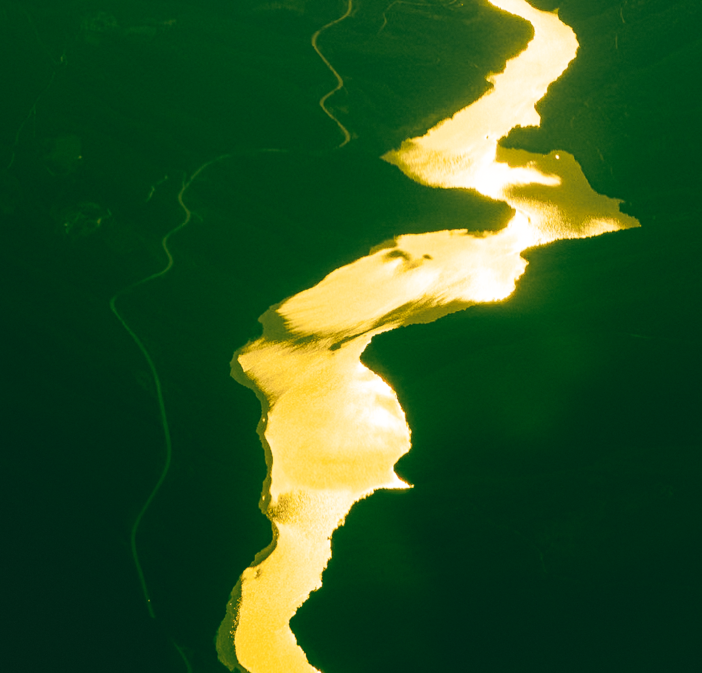 Canvas Print: "Gold River of Life"