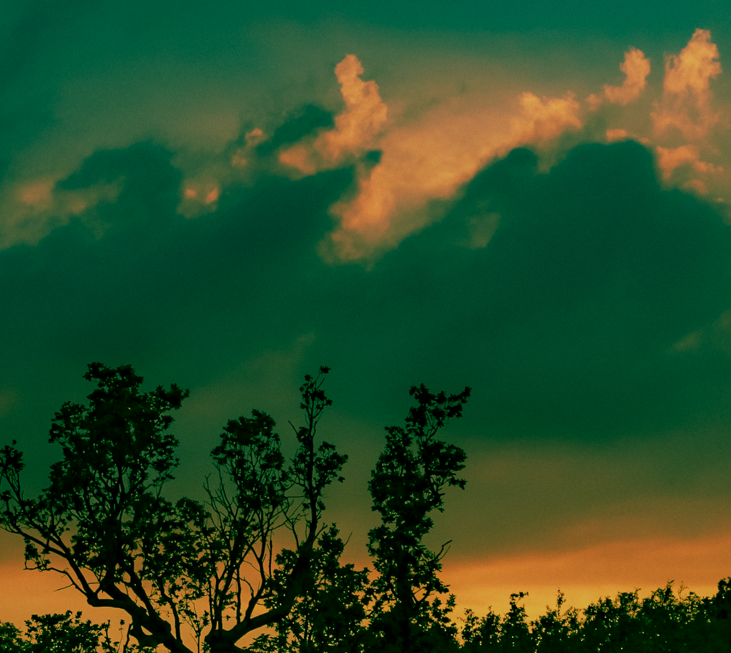 Canvas Print: "Window of Opportunity"