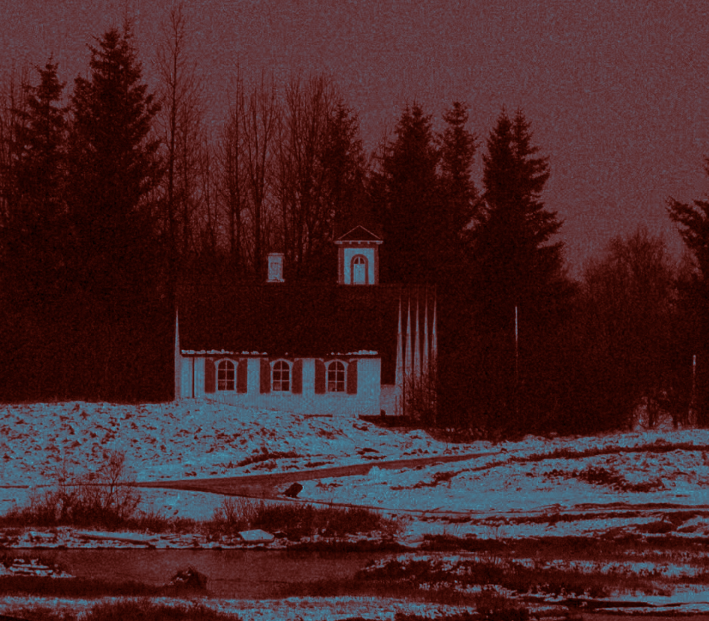 Canvas Print: "Isolated"