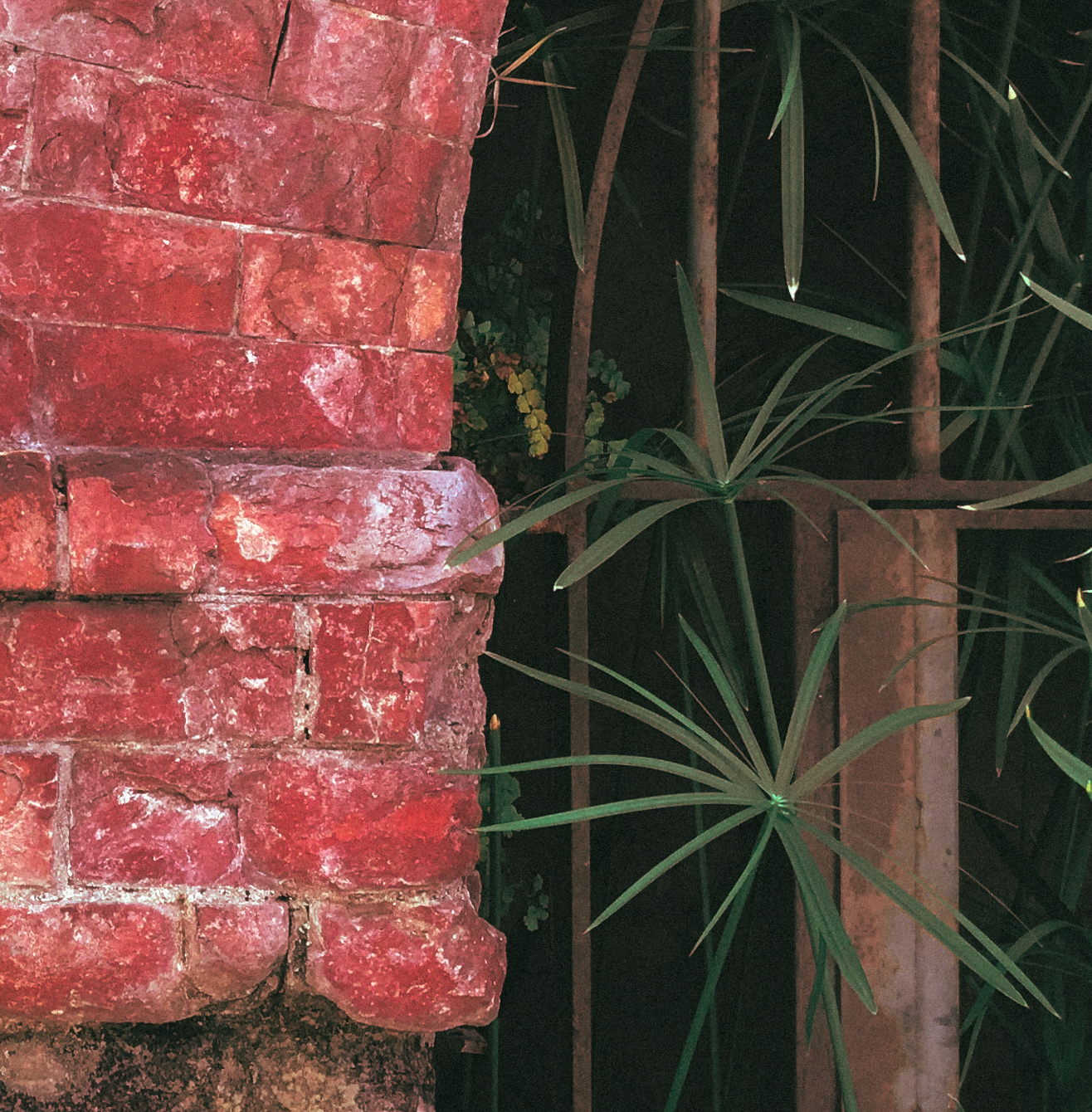 Canvas Print: "Poisonous Pillar"