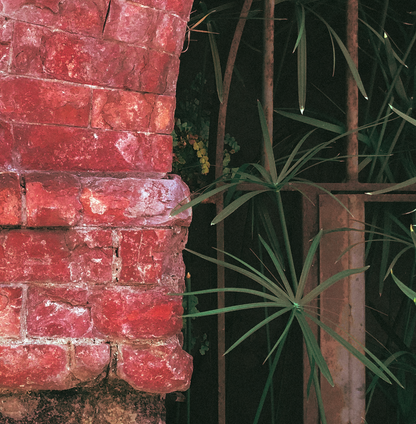 Canvas Print: "Poisonous Pillar"