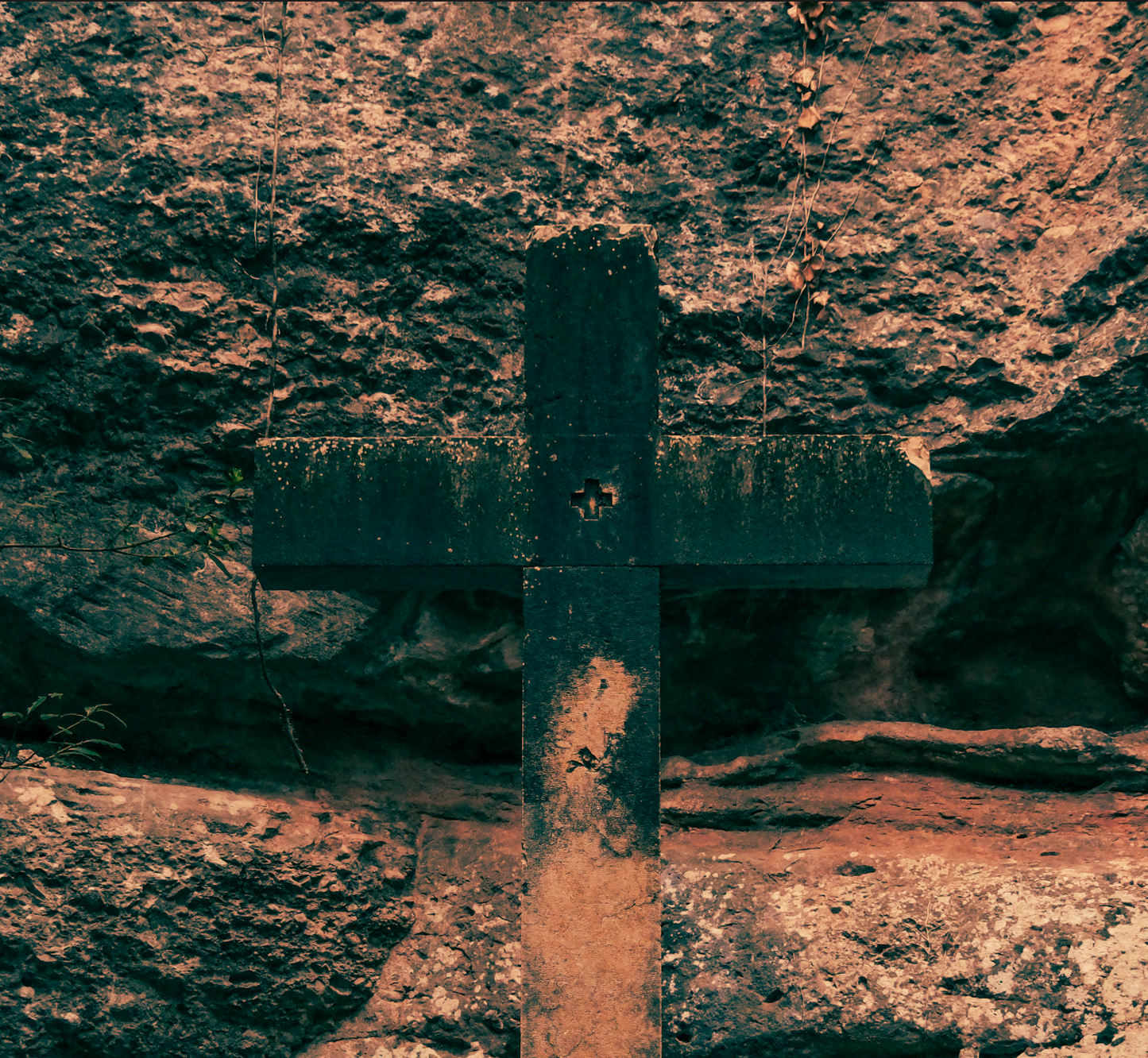 Canvas Print: "Venom Soaked Stone"