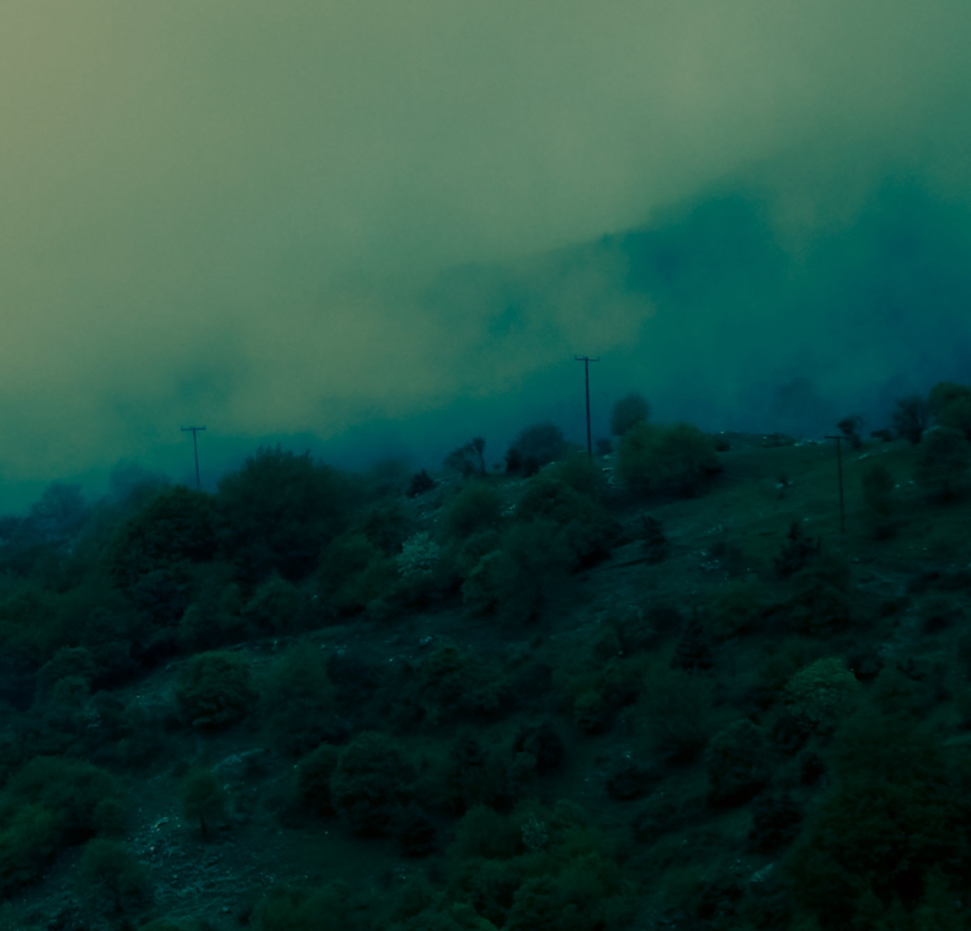 Canvas Print: "Foggy Roads Ahead"