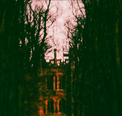 Canvas Print: "Haunted"