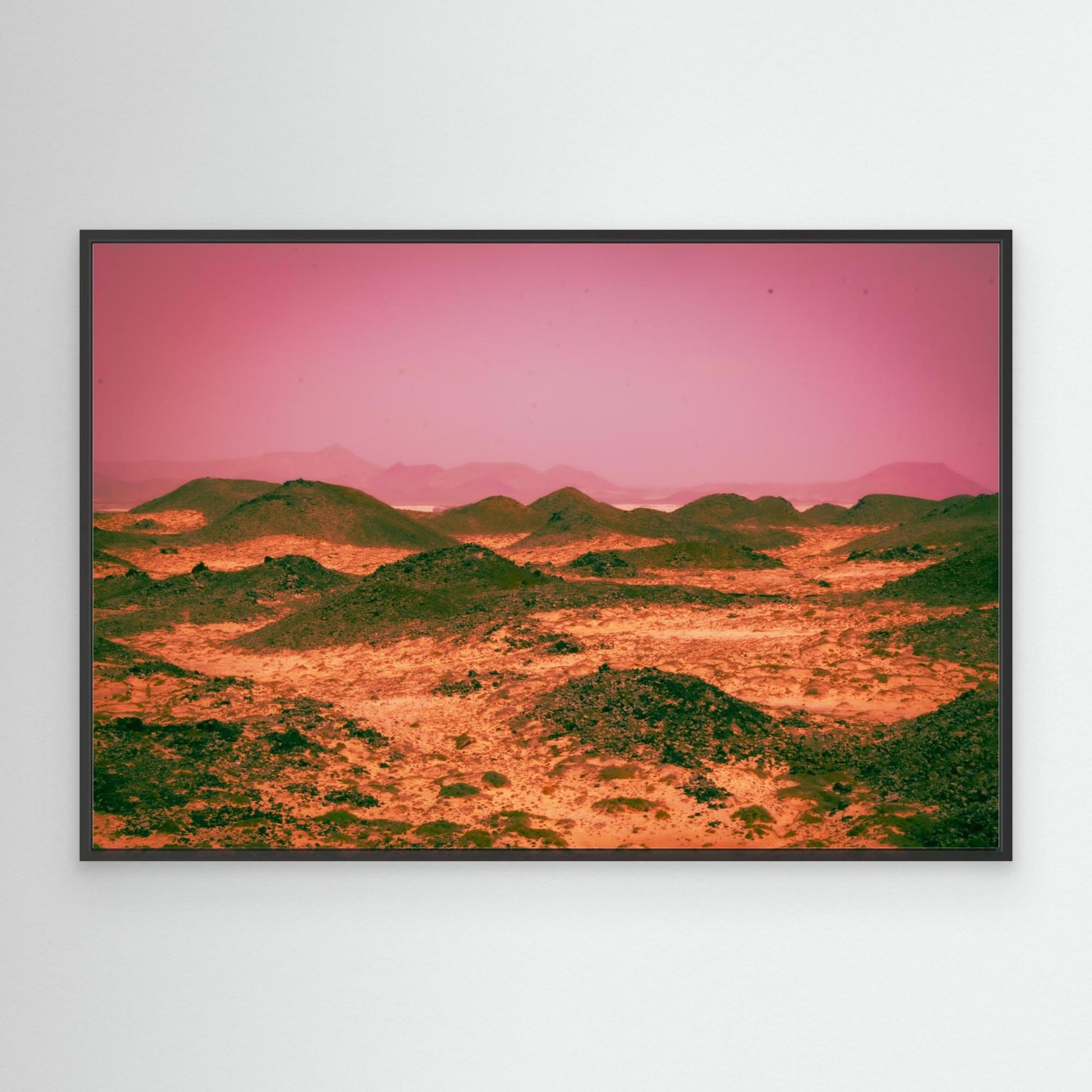 Canvas Print "Delusional"