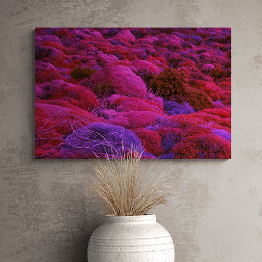 Canvas Print: "Biotic Pulse"