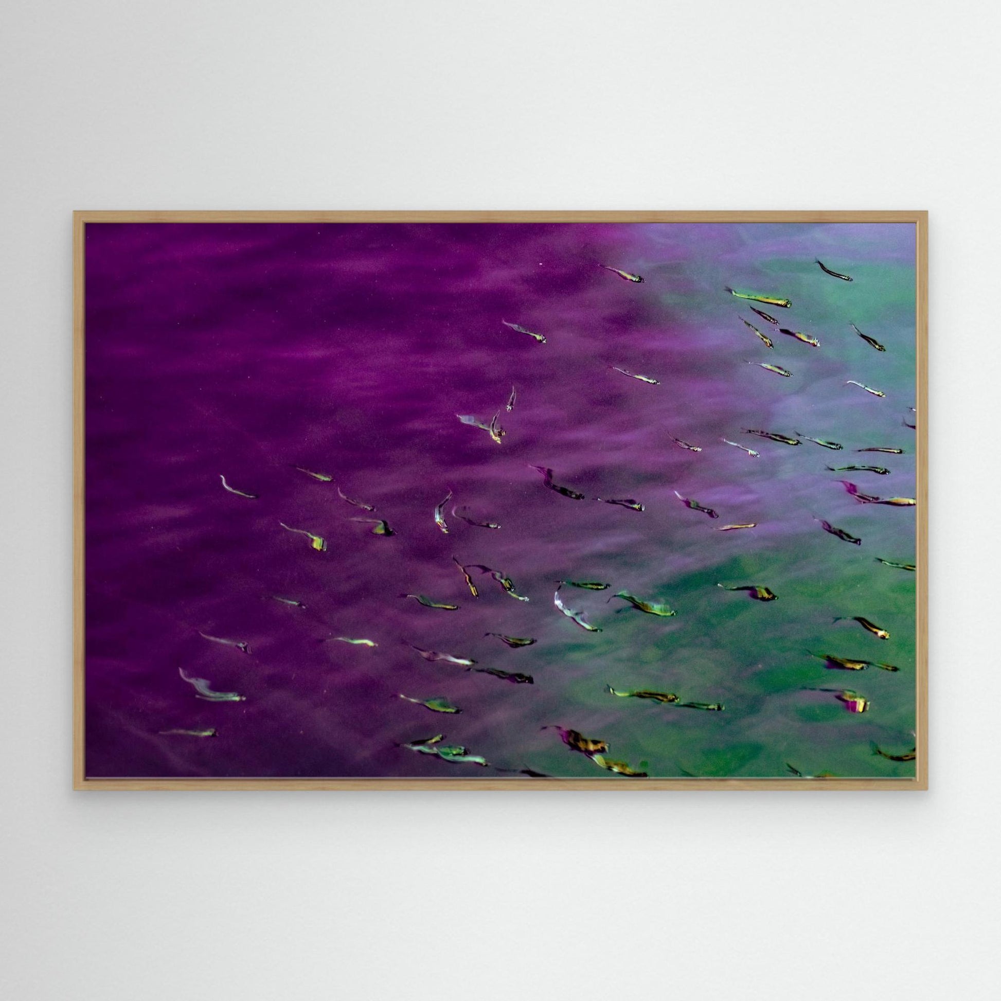 Canvas Print: "Lucid Flow"
