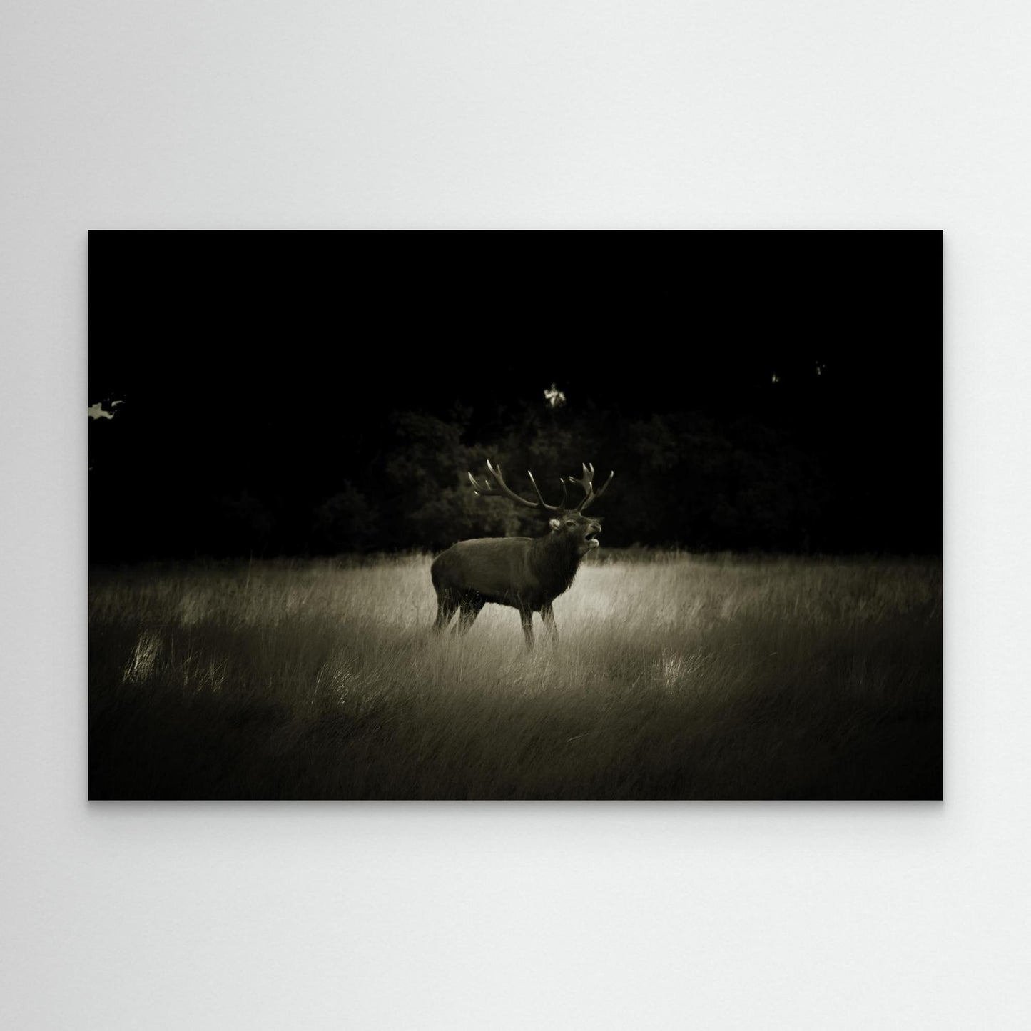 Canvas Print: "Silent Despair"