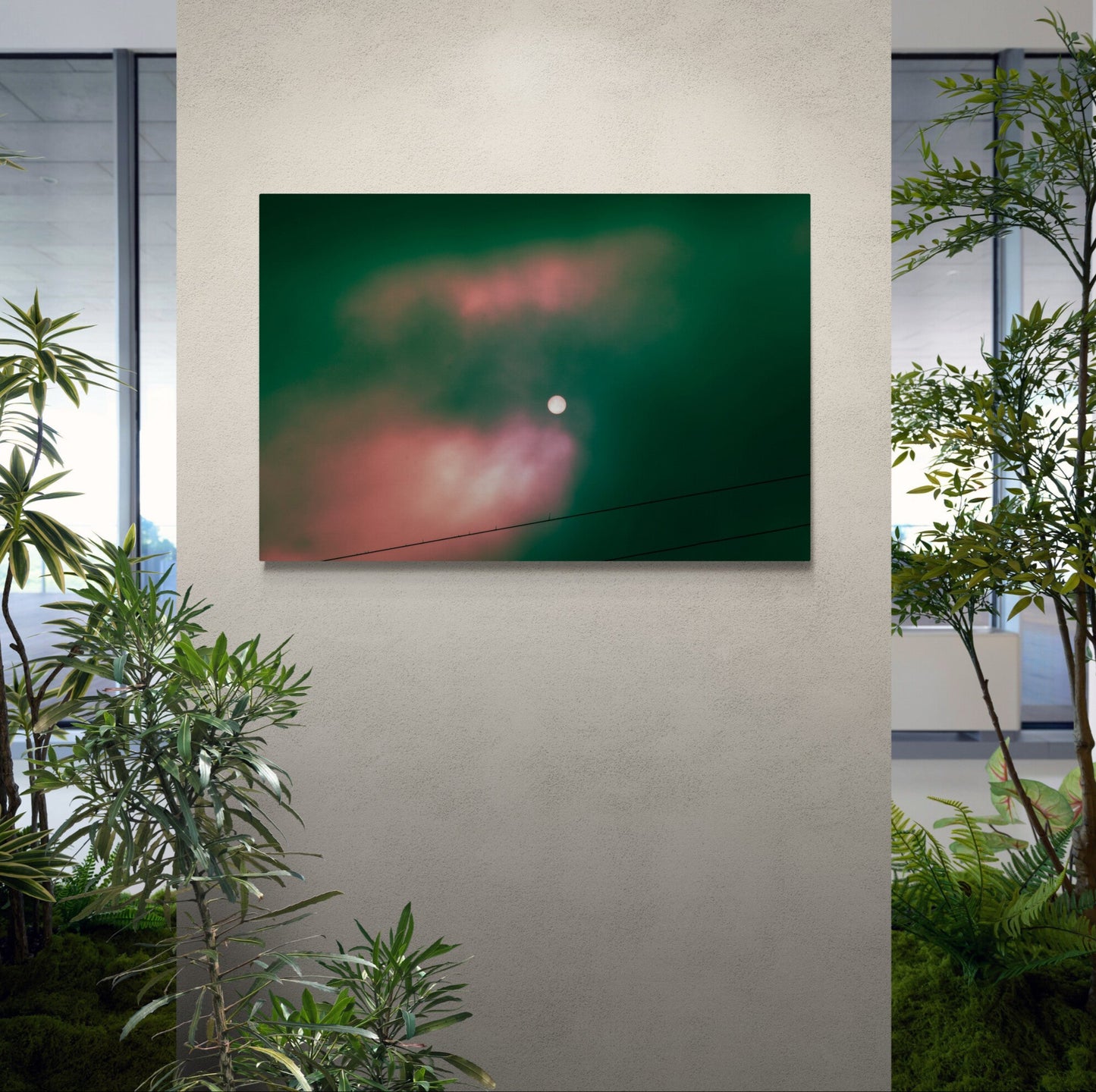 Canvas Print: "Colour Eclipse"