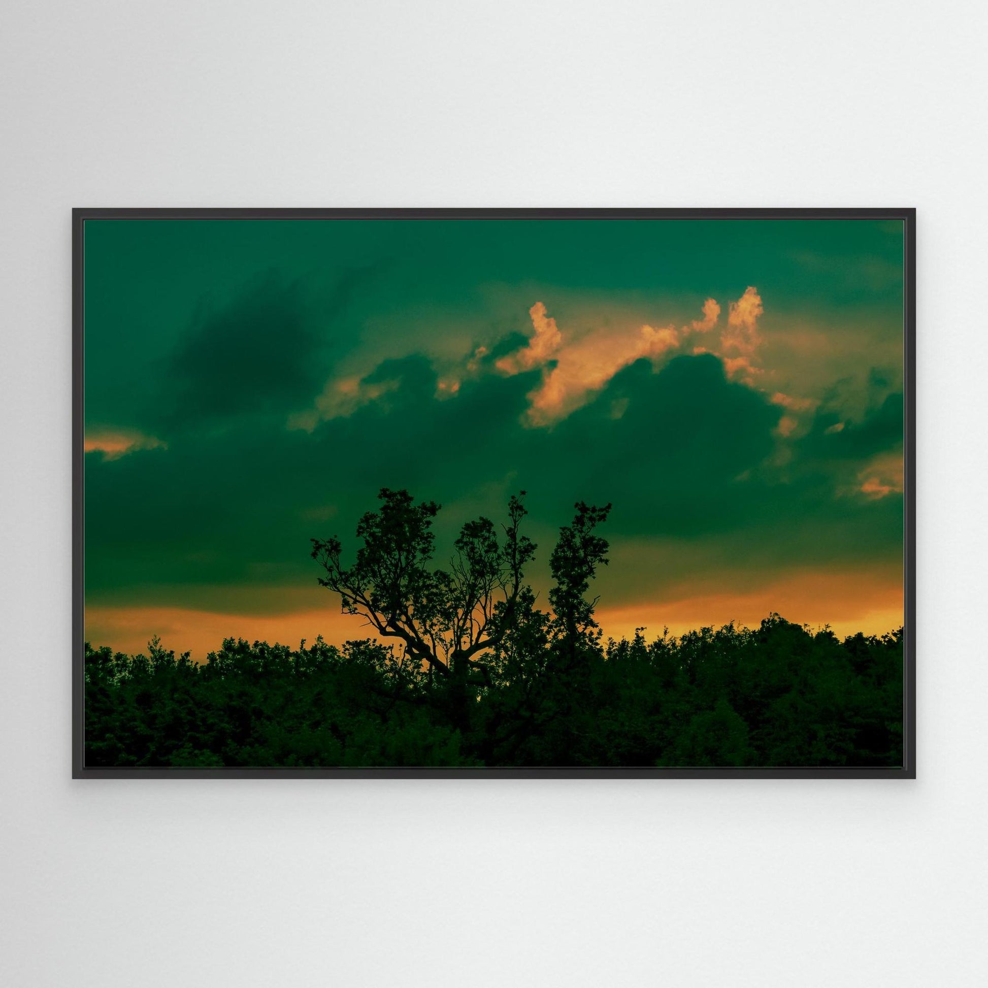 Canvas Print: "Lurk"