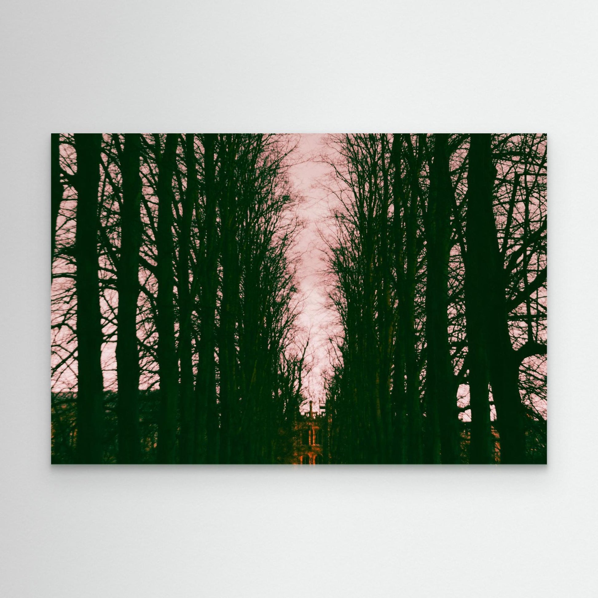 Cnavas Print: "Haunted"