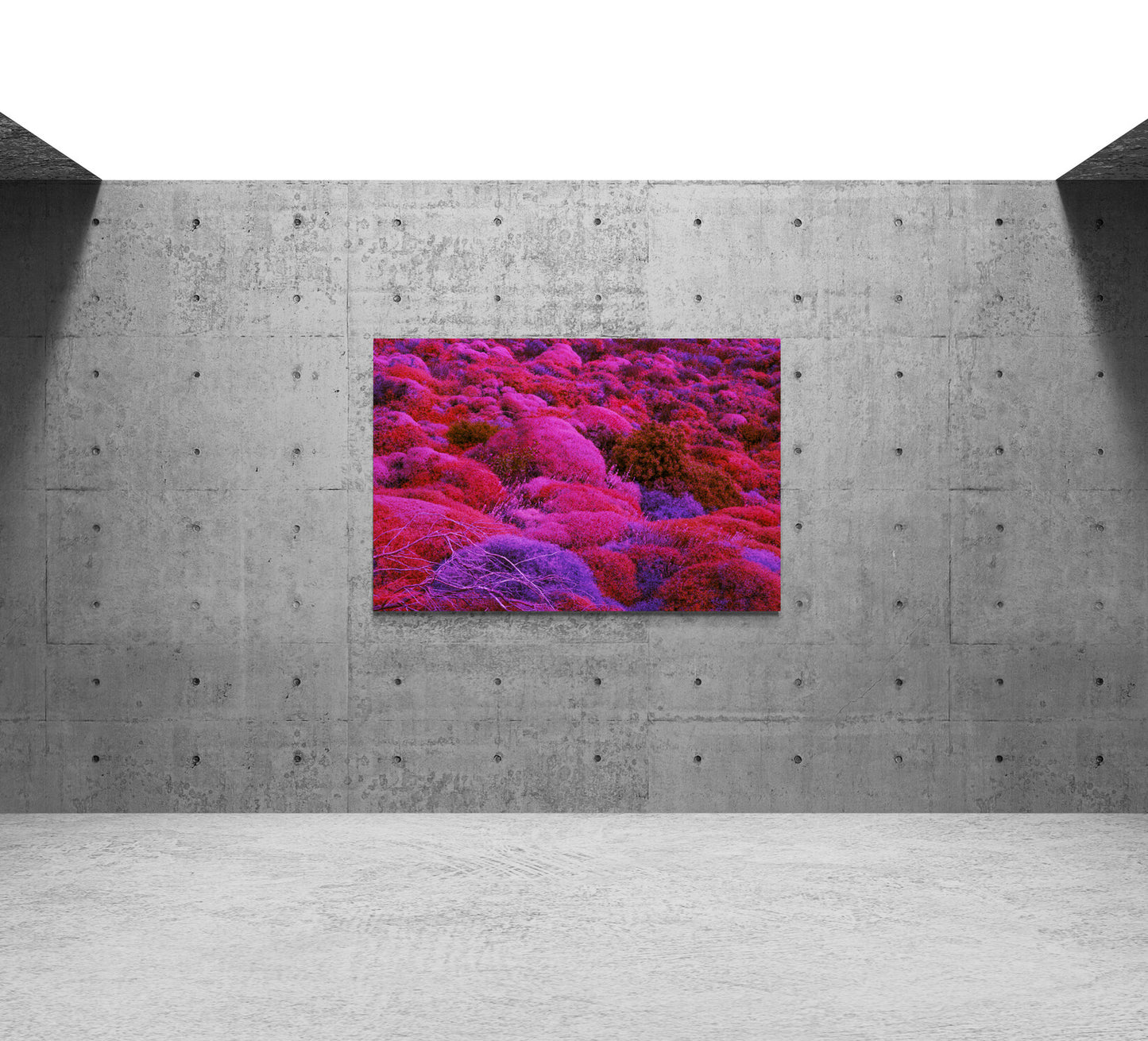 Canvas Print: "Biotic Pulse"