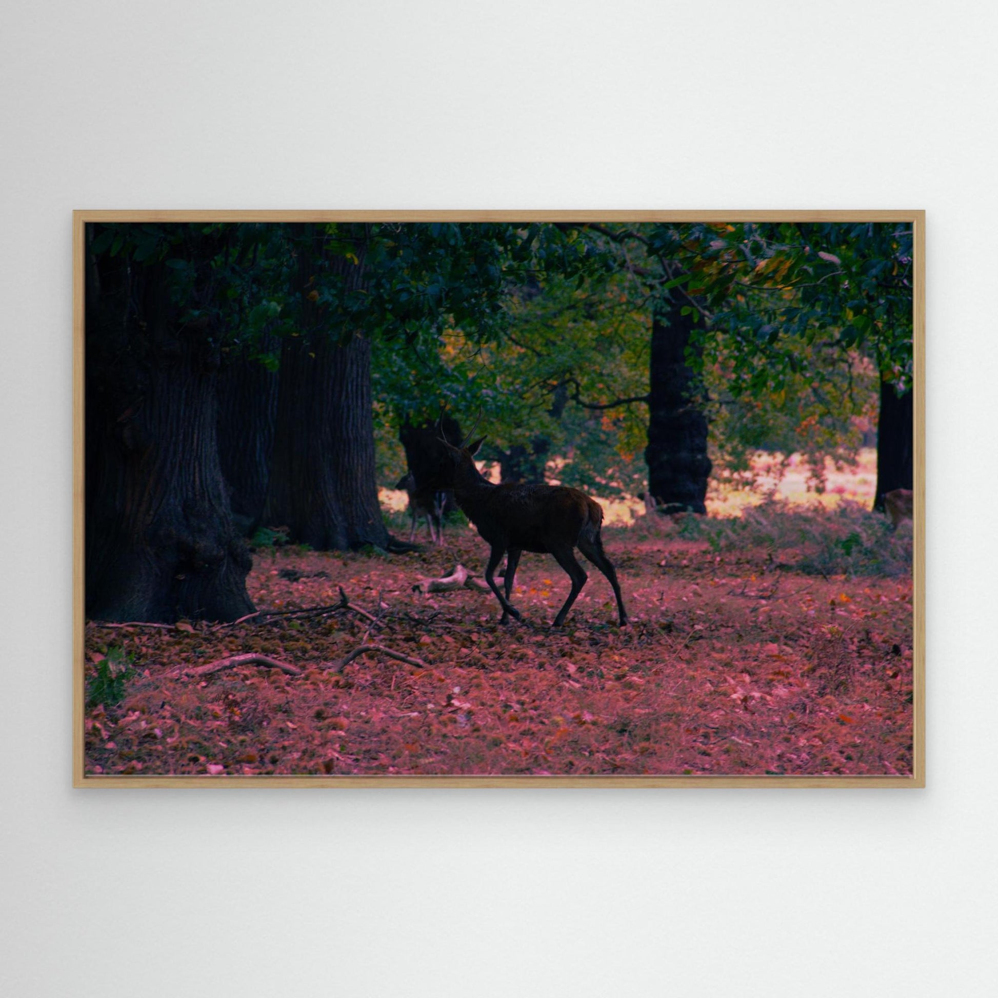 Canvas Print: "Lurk"