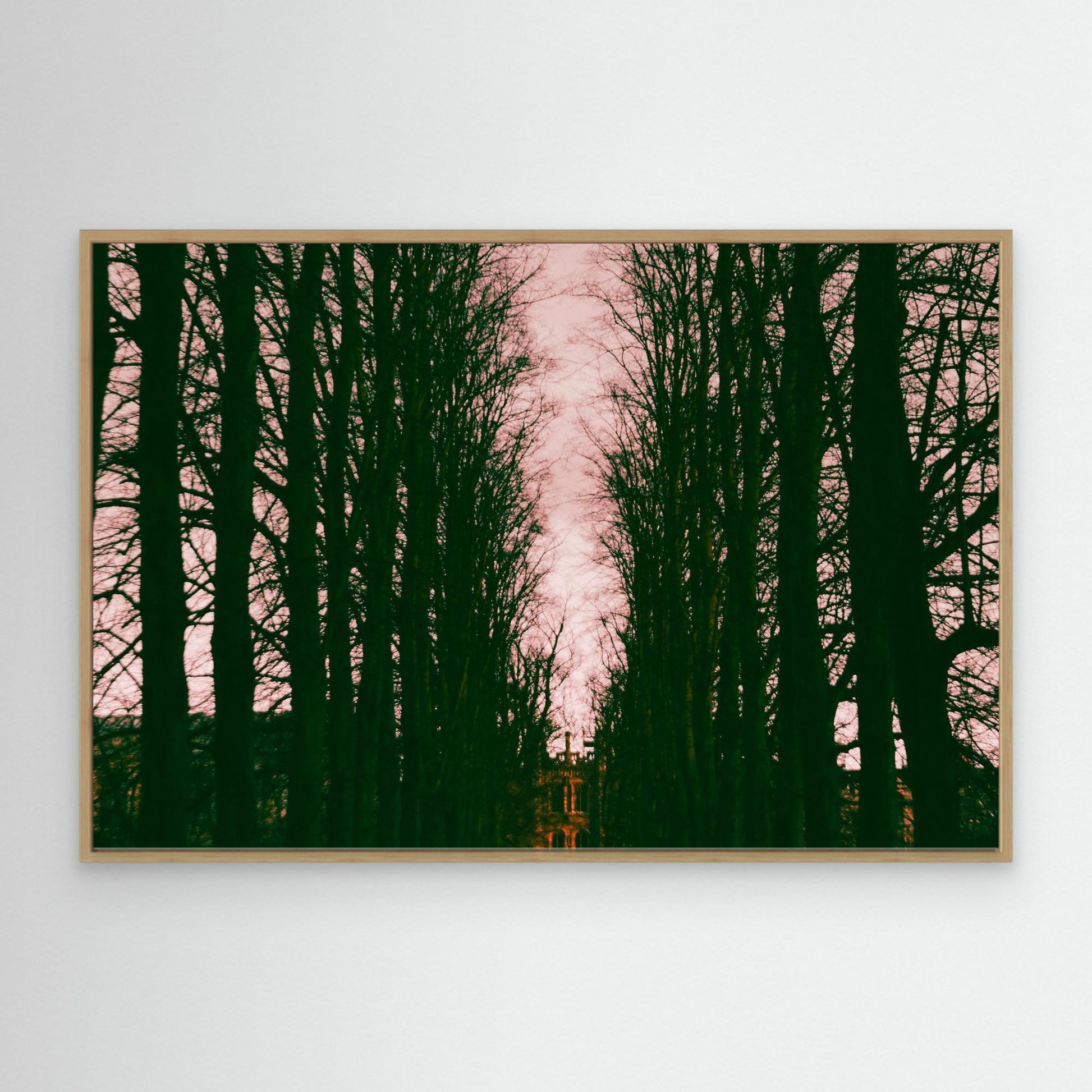 Cnavas Print: "Haunted"