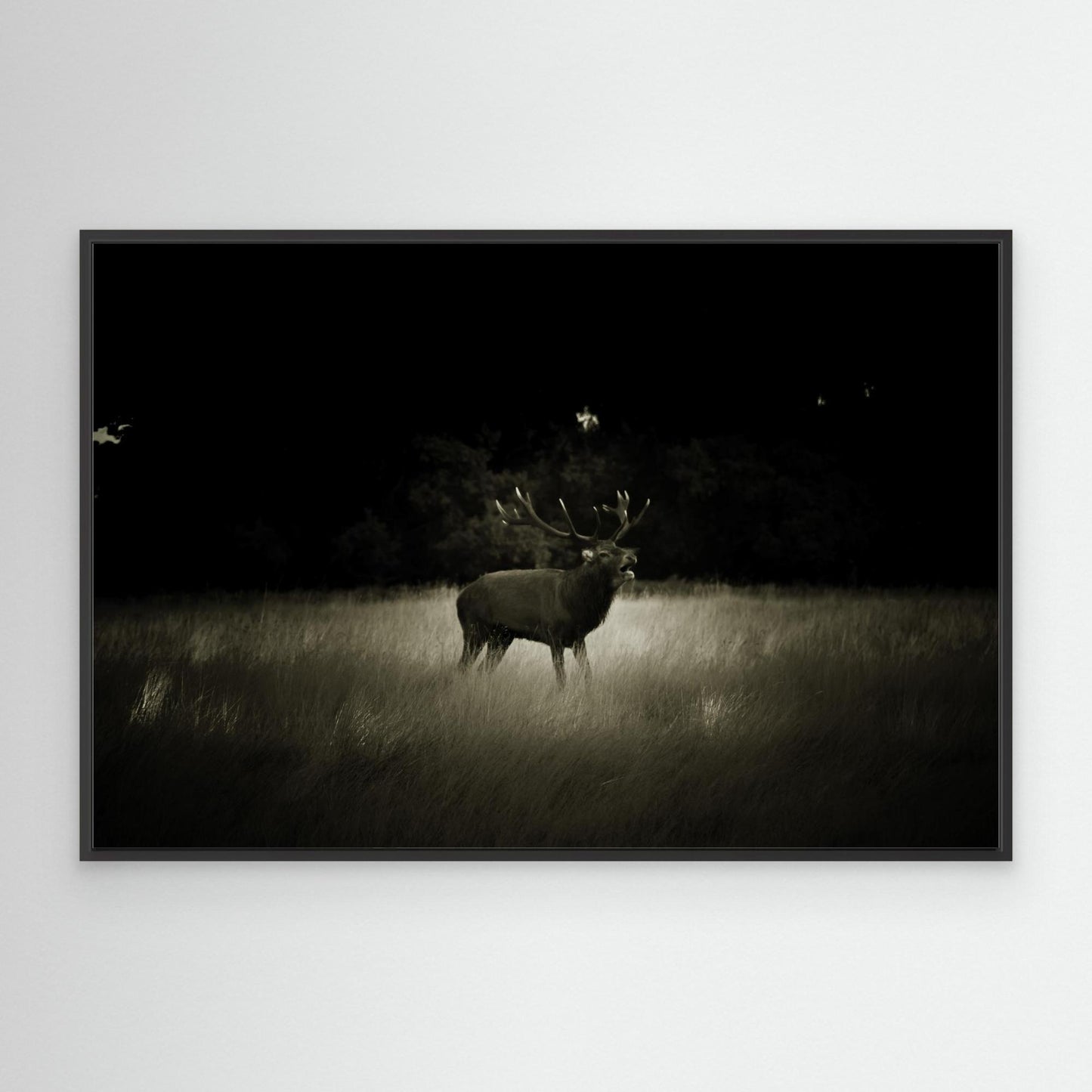 Canvas Print: "Silent Despair"