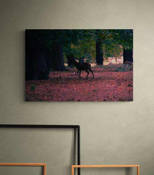 Canvas Print: "Lurk"