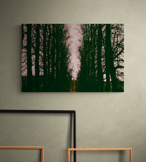 Canvas Print: "Haunted"
