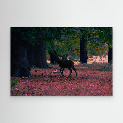 Canvas Print: "Lurk"